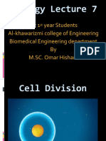 Cell Division