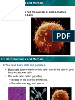 6.1 Chromosomes Meiosis PPT