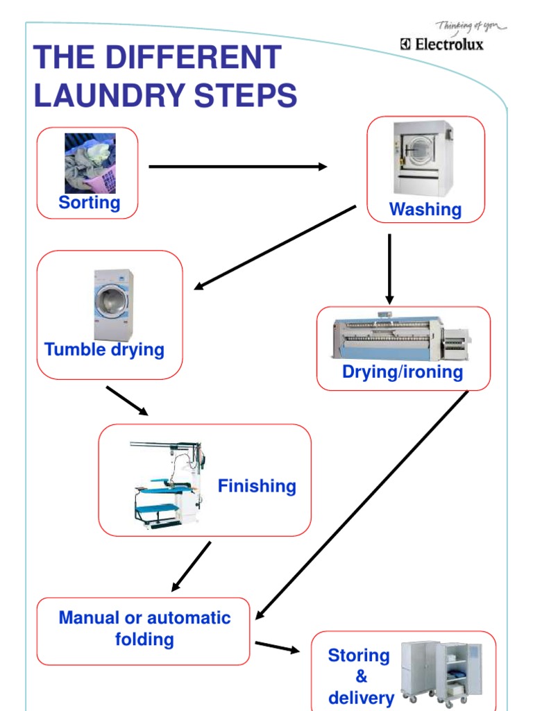 The Different Laundry Steps Washing Machine Clothes Dryer