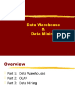 Data Warehouse Data Mining