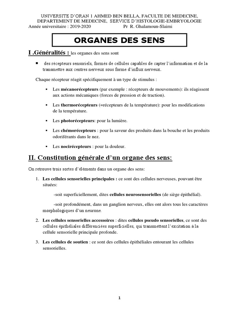 Anatomie des organes des sens | PDF | Goût | Olfaction