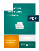 Estructura Del Sistema Contable