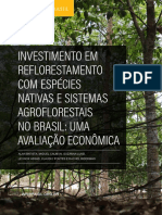Investimento Em Reflorestamento Com Espécies Nativas e Sistemas Agroflorestais No Brasil - Uma Análise Econômica