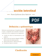 Obstrucción intestinal