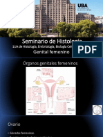 Seminario 18 Genital Femenino