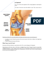 Anterior Cruciate Ligament