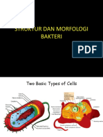 2 StrukturMorfologiBakteri