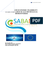 D1.2. Cost and Economic Feasibility Guide For Large Scale Microalgal Biorefineries