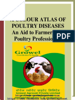 A Colour Atlas of Poultry Diseases An Aid To Farmers and Poultry Professionals