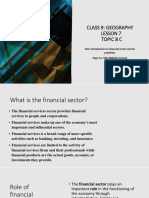 Class 9 Geo Lesson 7 Topic 8C Finanacial Sector