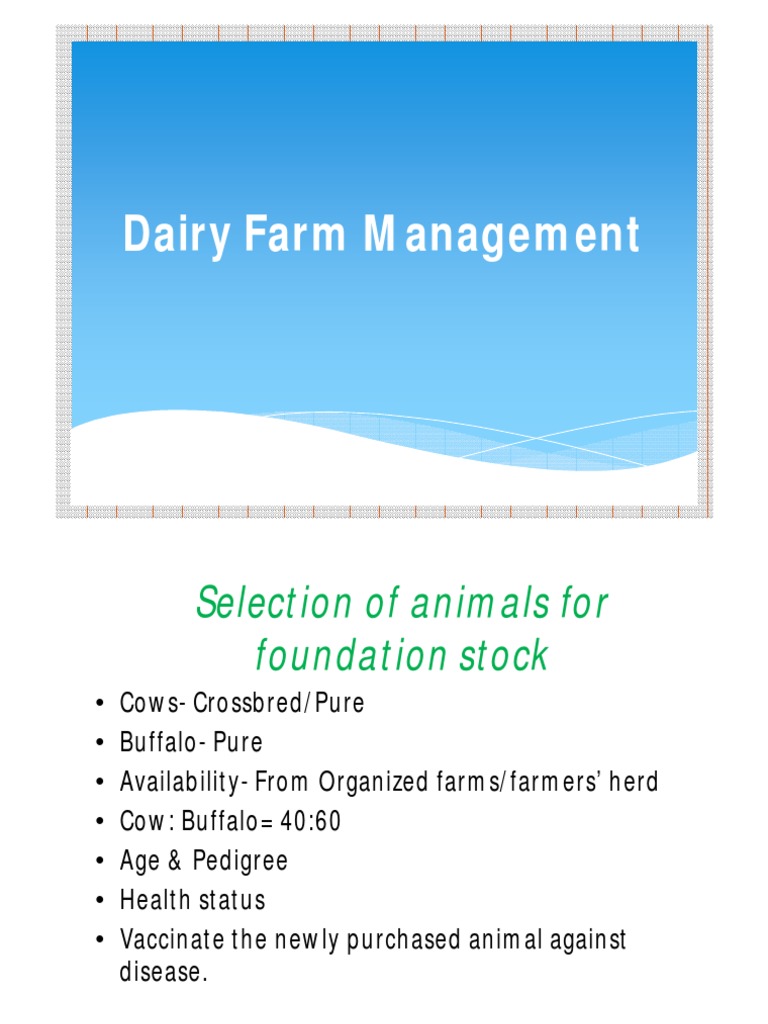 Dairy Farm Management A Comprehensive Guide to Setting Up and