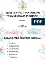 Jenis Penyakit Kandungan Pada Genitalia Internal