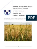 Business Plan For " Rite Rice Farm Enterprise "