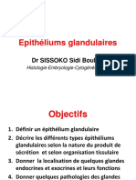 LES EPITHELIUMS GLANDULAIRES