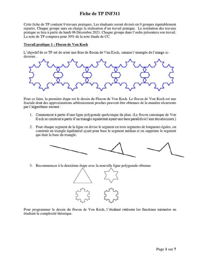 Animation Flocon de Koch en TP PDF Mathématiques appliqués — free download