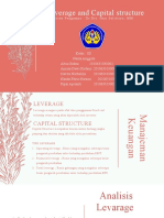 LEVERAGE AND CAPITAL STRUCTURE_3D (1)