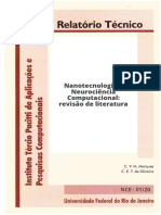 Nanotecnologia e Neurociência Computacional - Revisão de Literatura