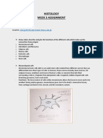 Histology - Assignment 3