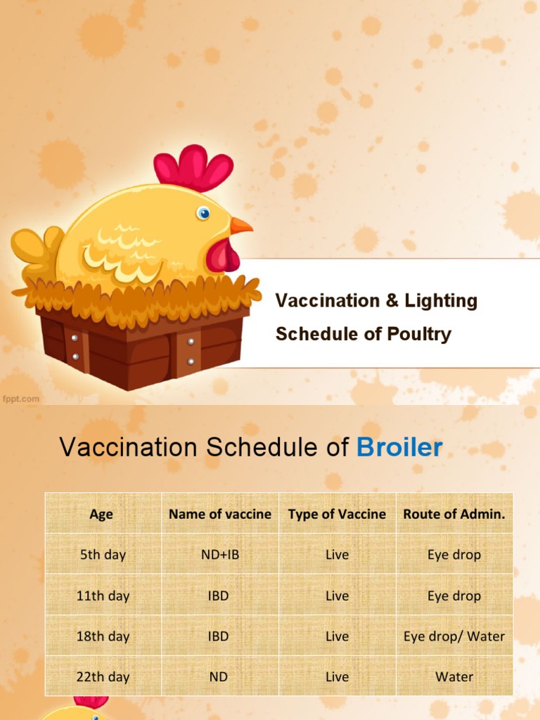 A Comprehensive Guide to Vaccination and Lighting Schedules for Optimal Growth and Production of