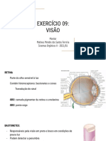 Exercício 09 - Visão - Resolução  