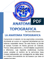 Anatomia Topografica PSF