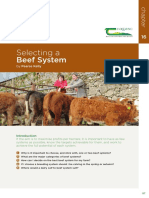 Beef-Manual-Section3