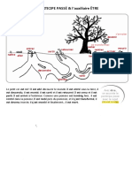 passe_compose_verbes qui se conjuguent avec être