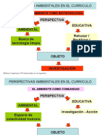 Perspectivas Ambientales en El Curriculo