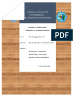 Informe 1 Microbiologia Alimentos