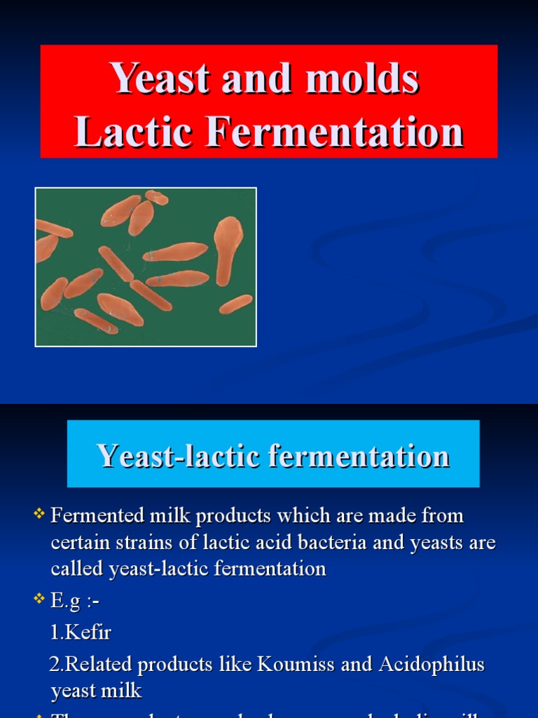 Yeast-Lactic Fermentation in Kefir | PDF | Milk | Lactic Acid