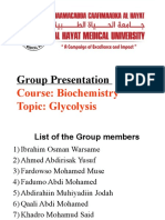 Gluconeogenisis Presentation