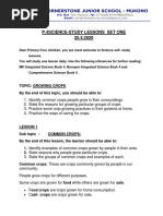 P4 Science Self Study Lesson Set One Cornerstone Junior School Mukono