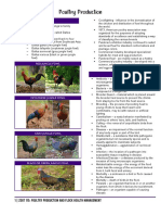 Poultry Production History and Terminology Guide
