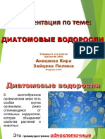 ПрезентацияПолины - Водоросли диатомовые