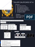 Taller Calificado N°14. Calculo I