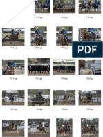 Team Penning Low Res Draft Proofs