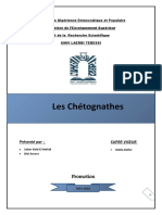 Chetognathes