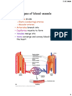 Types of Blood Vessels: - Arteries Arterioles