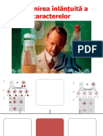 Mostenirea Inlantuita A Caracterelor