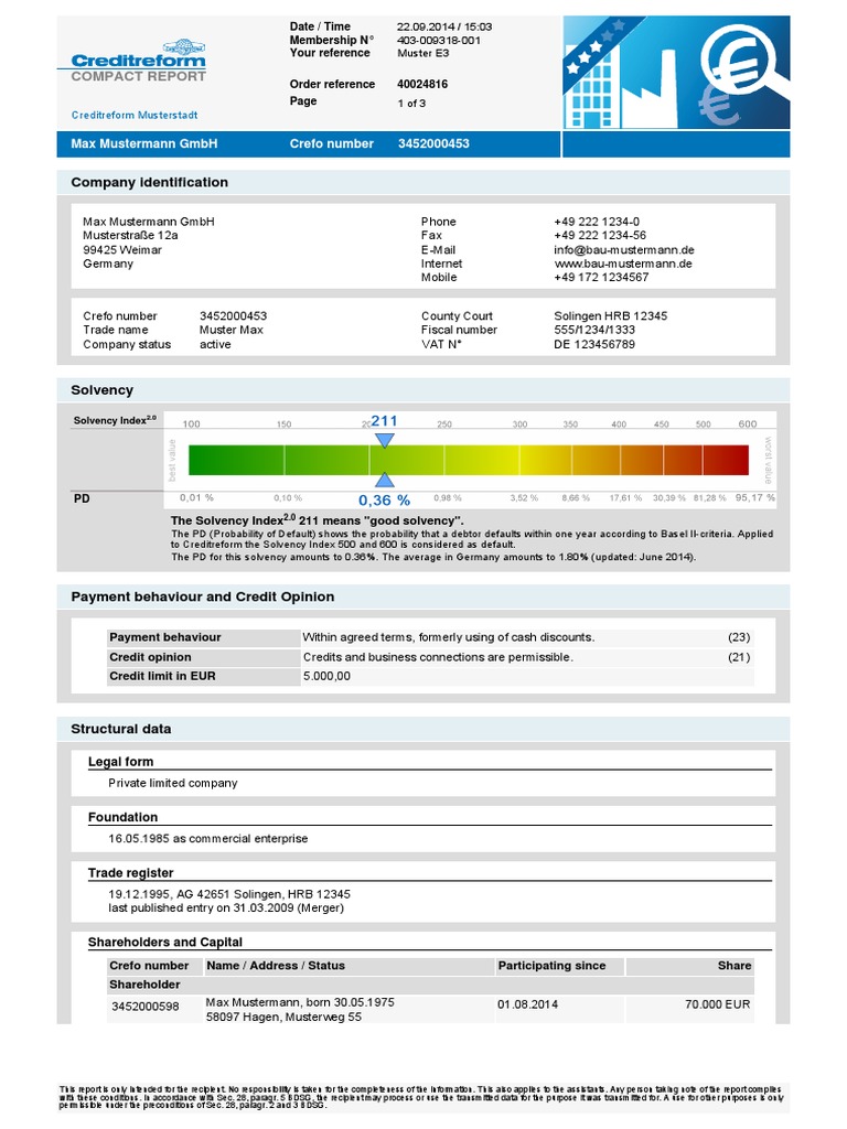 Sample credit report pdf economies business