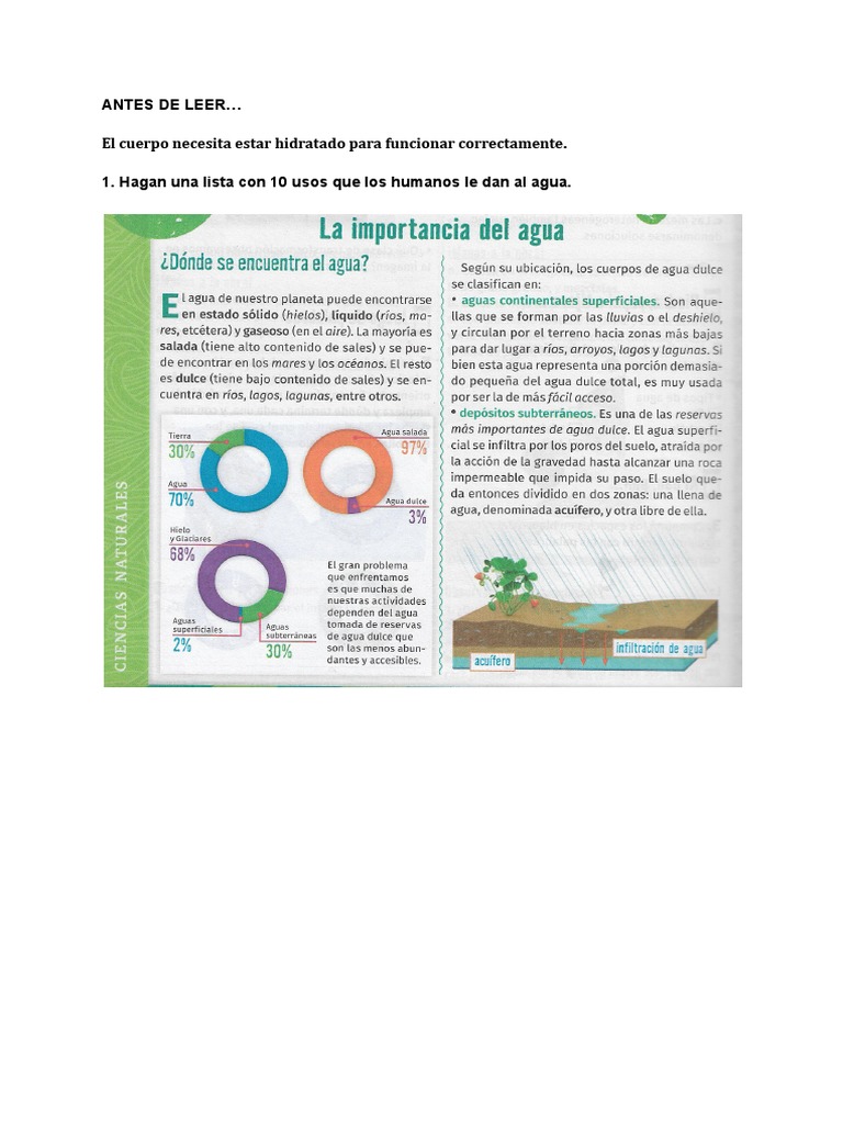 La Importancia Del Agua | PDF | Hogar, jardinería y bricolaje | Ciencia ...