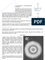 Carga Elétrica e Interacao