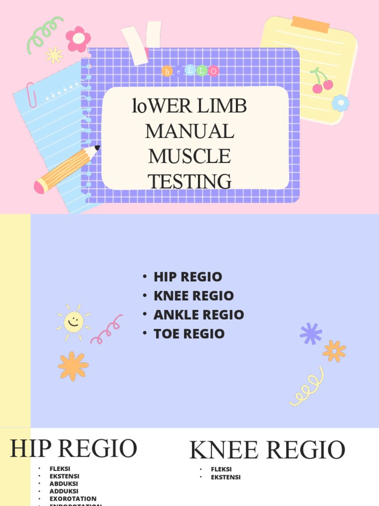 loWER LIMB MUSCLE TESTING Tess | PDF