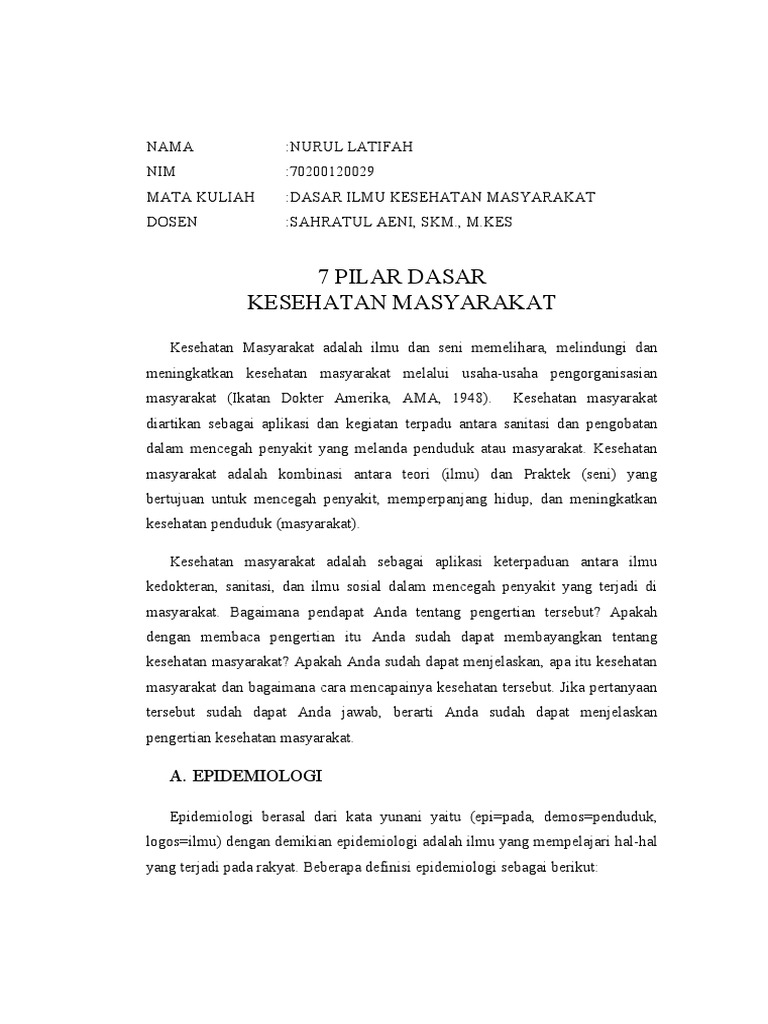 7 Pilar Dasar Kesmas | PDF