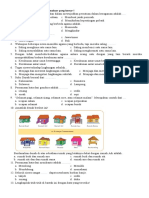 Soal Pas Kelas 2 Tema 3