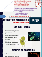 Estructura y fisiología bacteriana