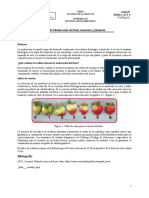 U1-Act 3-Descripción - Fases de Maduracion de Fresa, Manzana y Jitomate - 03 Sept 2021