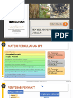 2 IPT - 2021 Penyebab Penyakit Dan Gejala 1