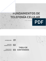 PDF Renzo Hurtado