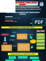 Sistema Nacional Del Presupuesto Público (Alcantara Bardales Elda)